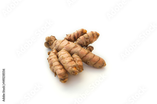 Curcuma