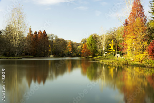 Autumn, also known as fall.Some cultures regard the autumnal equinox as "mid-autumn".