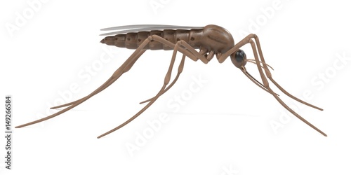 realistic 3d render of anopheles gambiae