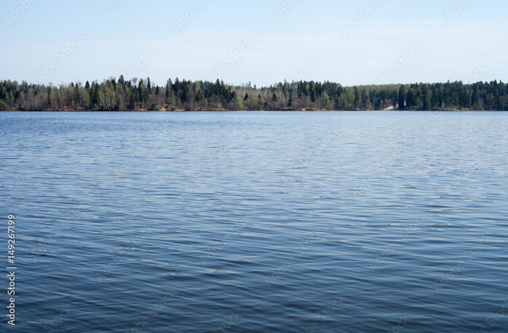water surface horizon of mixed forest