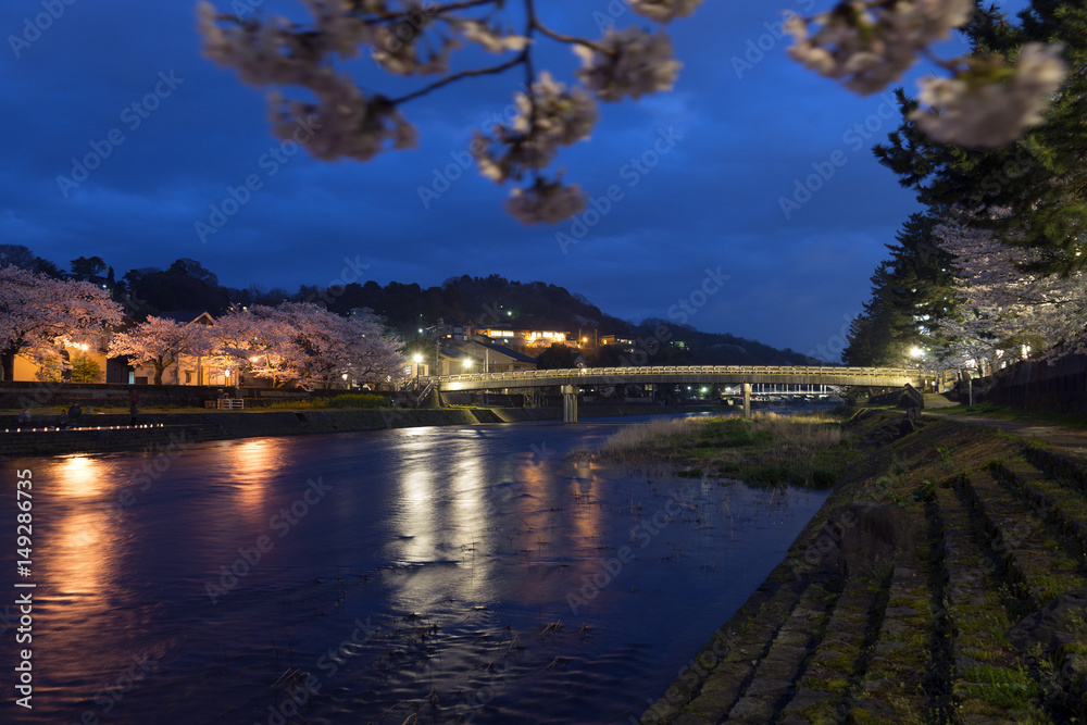 金沢の夜景　梅ノ橋と桜