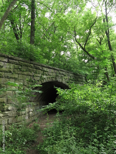 Abandoned bridge in forest - vertical