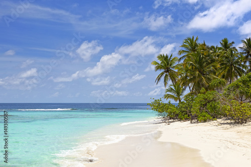 beautiful beach on tropical island © beachfront