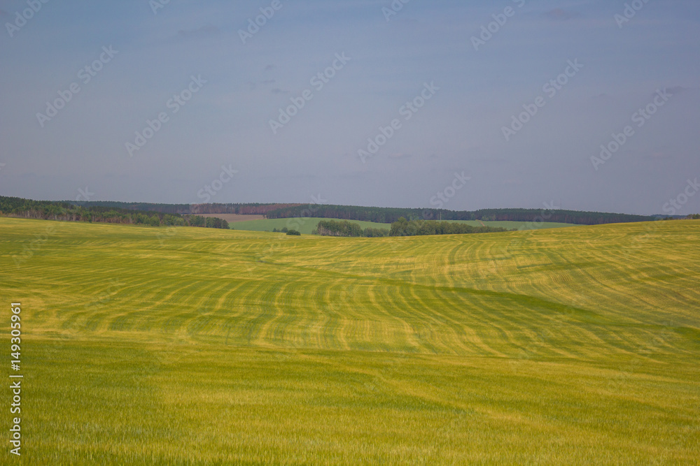 the nature of Siberia