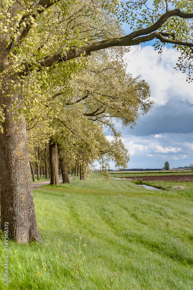 Naklejka premium View along the Dutch dike