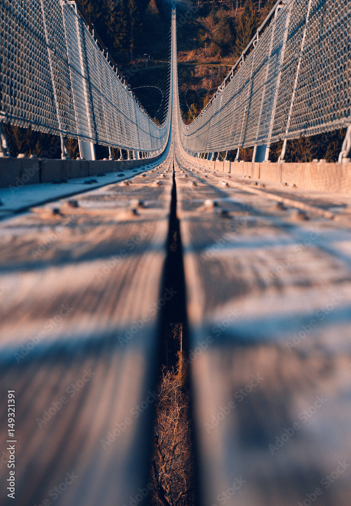 Obraz premium Geierlay Suspension Bridge