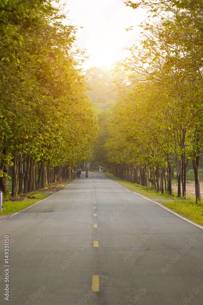 Fototapeta premium road