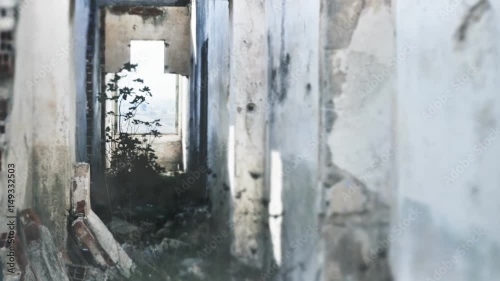 An earthquake shaking the ruins of an old abandoned house, with rising smoke. Establishing shot. Silent, spooky location.
An earthquake shaking the ruins of an old abandoned house, with rising smoke. Establishing shot. Silent, spooky location.