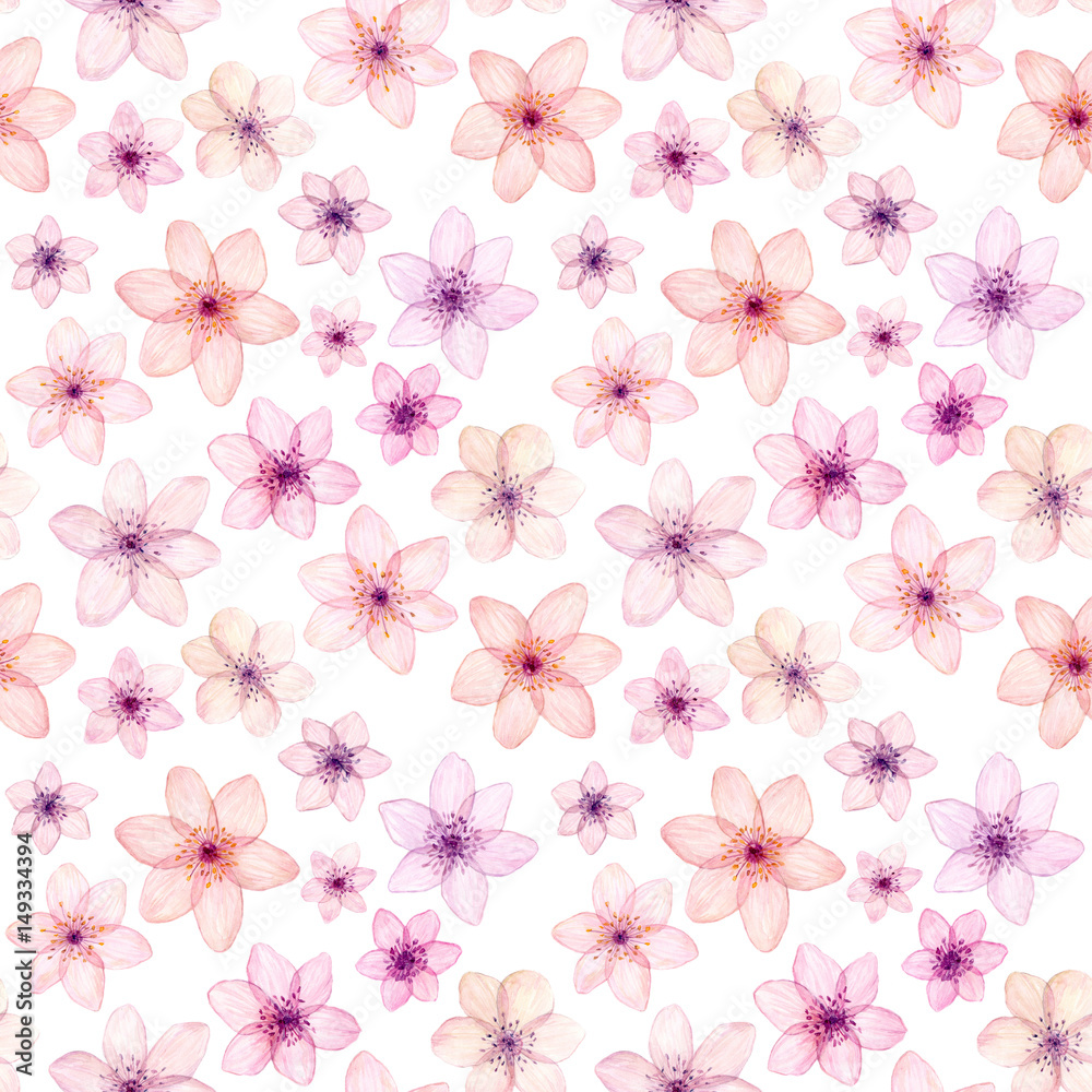 Hand painted watercolor seamless pattern with pink tender flower isolated on white. Repeating floral texture. Spring cherry blossom background.