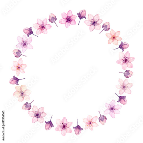 Hand painted watercolor circle frame made with tender pink spring flowers and buds  isolated on white.