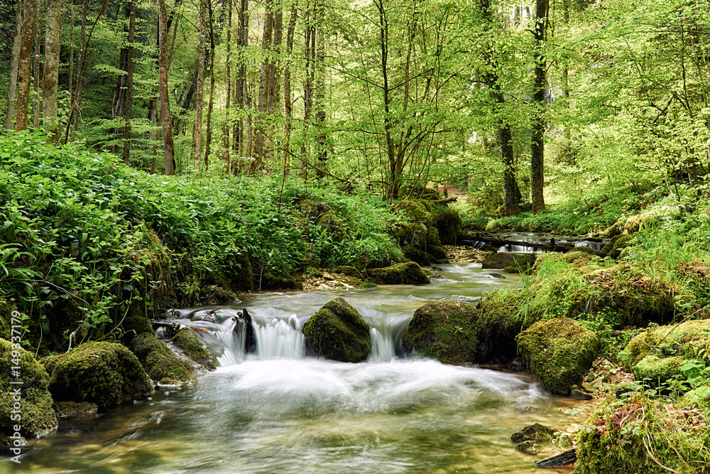 Kaltbrunnental bei Grellingen BL StockFoto Adobe Stock