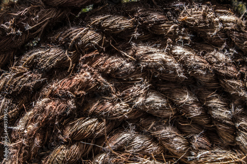 rope texture circle 3