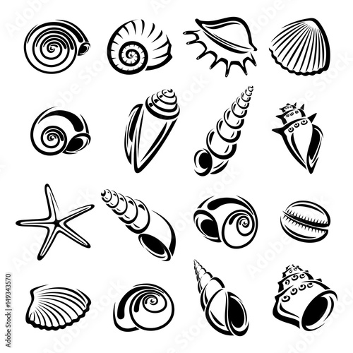 Seashells set. Vector