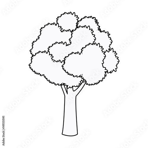 tree foliage woody stem branching plant outline vector illustration