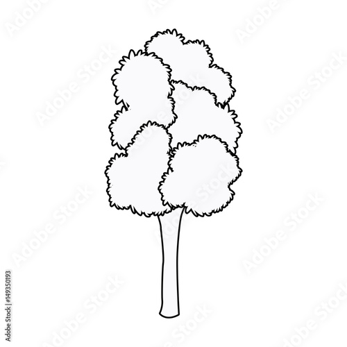 tree woody foliage bark stem outline vector illustration