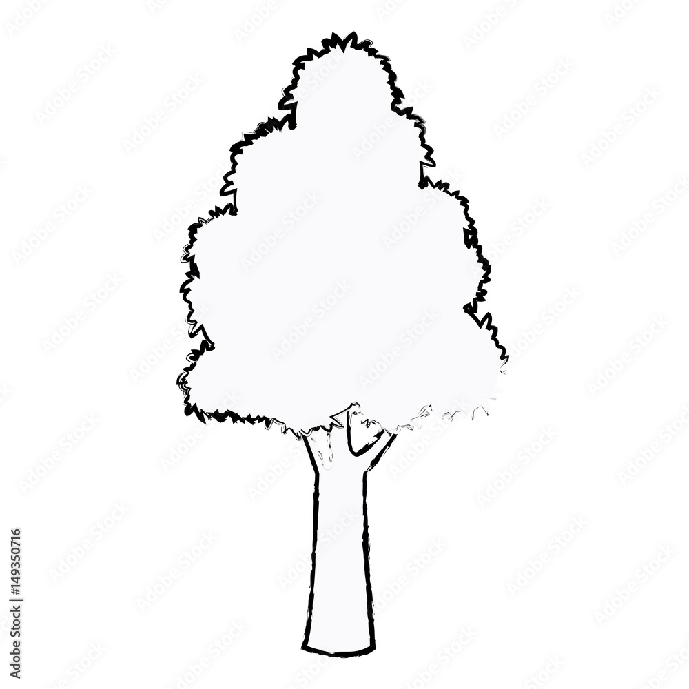 Fototapeta premium tree plant botanic foliage sketch vector illustration