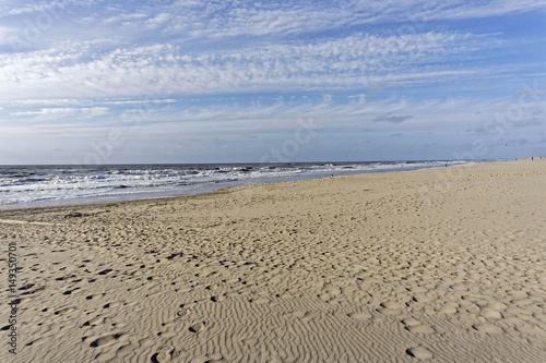 beach landscape on a sunny day