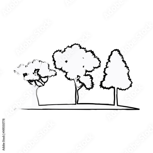 trees plant natural forest image sketch vector illustration