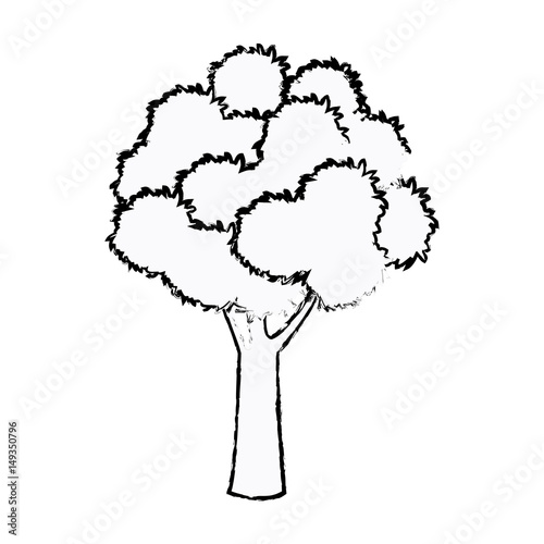 tree foliage wood branch botancial sketch vector illustration