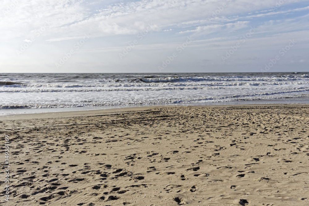 beach landscape on a sunny day