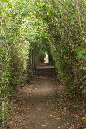 Footpath to old cemetery and historic pear tree in Genadendal