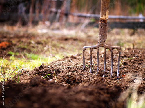 Photo digging soil with pitchfork in spring garden, shallow depth of field, copy space