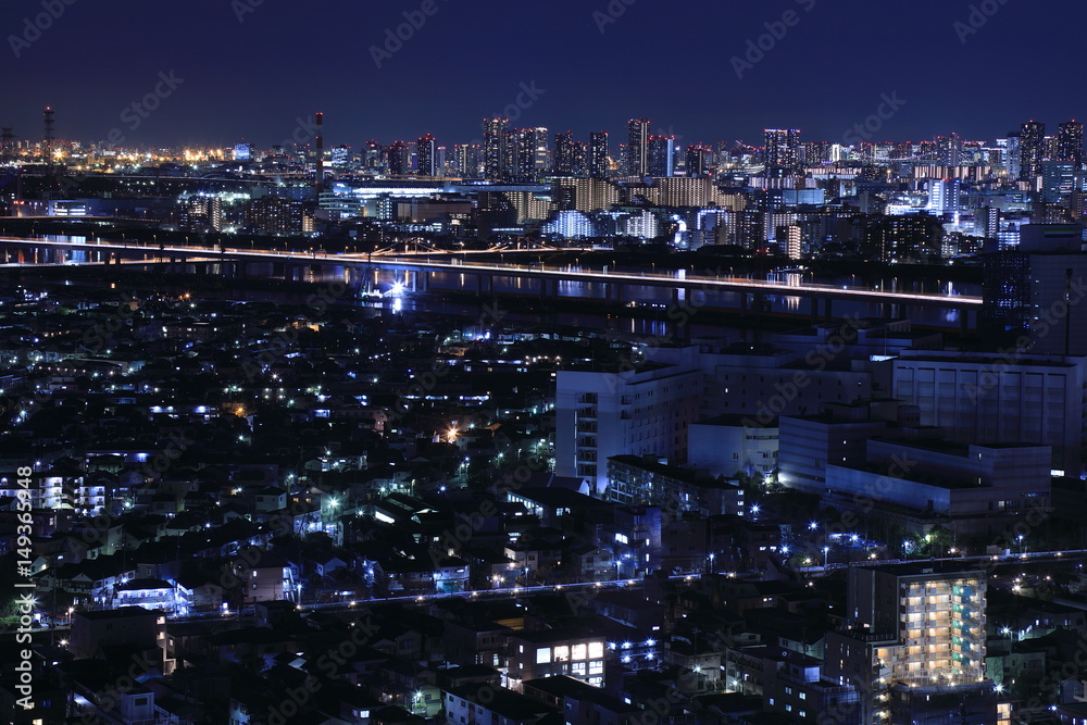 Obraz premium Tokyo night view