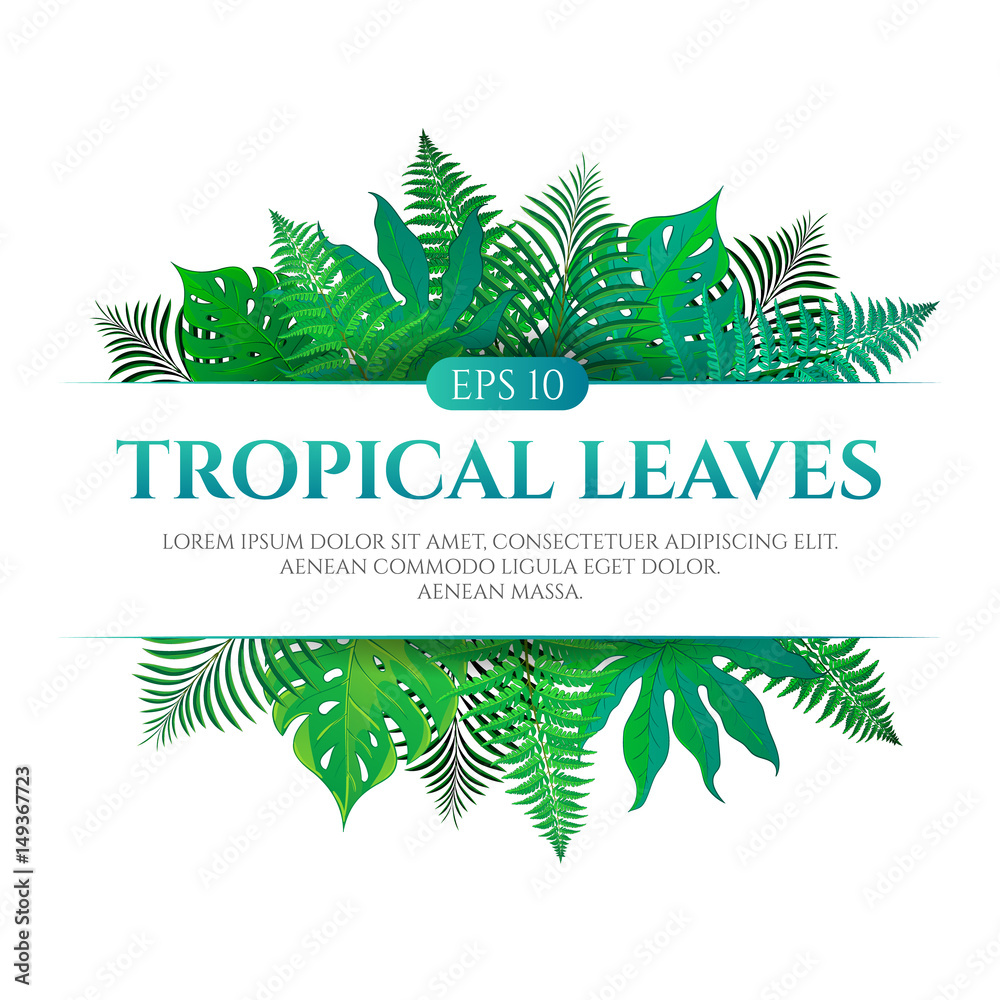 Tropical leaves frame design with place for text isolated on white ...