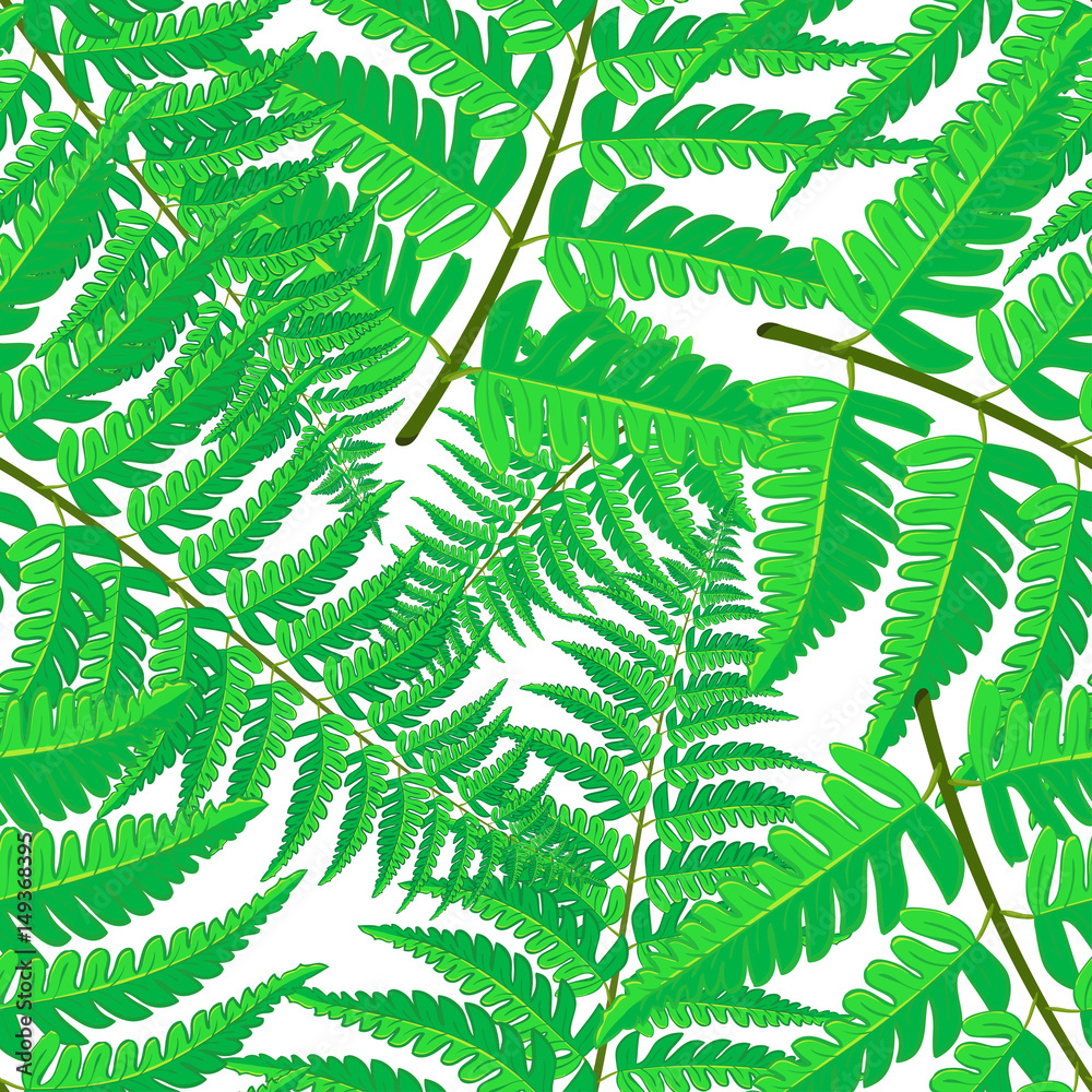 Vector seamless pattern of tropical palm leaves isolated on white background. Vector illustration in hand drawn cartoon style. Can be used for printing on textile or gift wrap and wallpapers.