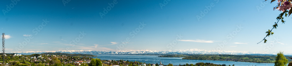 Panoramic view of lake of Lake Constance with Apple Blossoms