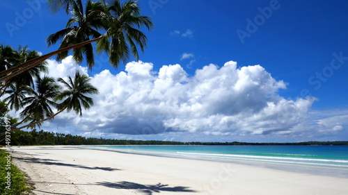 tropischer Traumstrand mit Palmen  wei  em Sand  und t  rkisblauem Meer