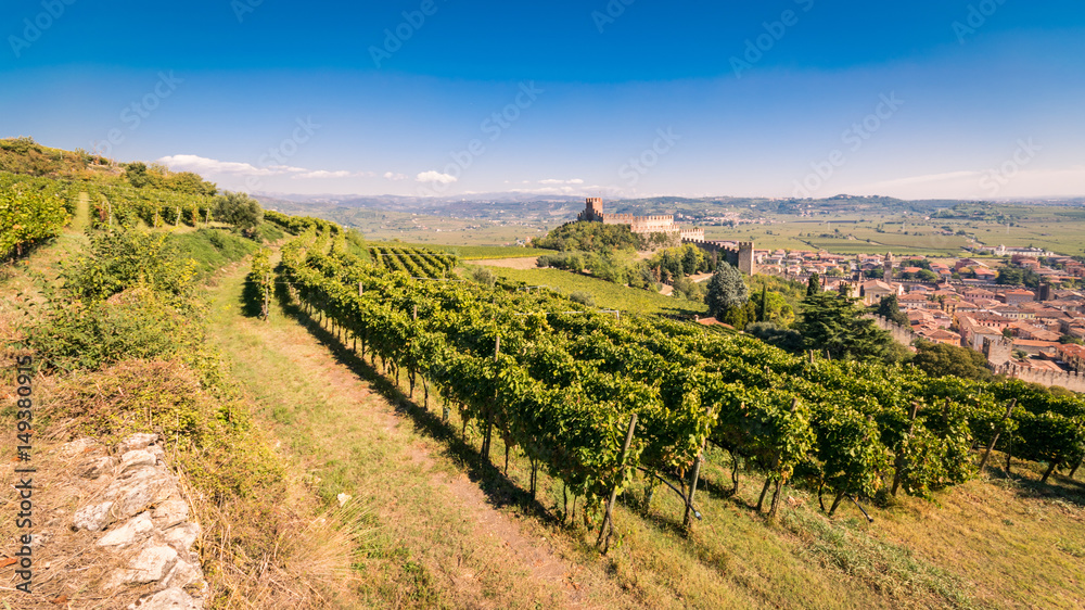 View of Soave (Italy) and its famous medieval castle.