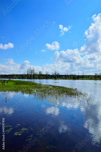 Rzeka i brzeg z trawą z niebem z chmurami. photo