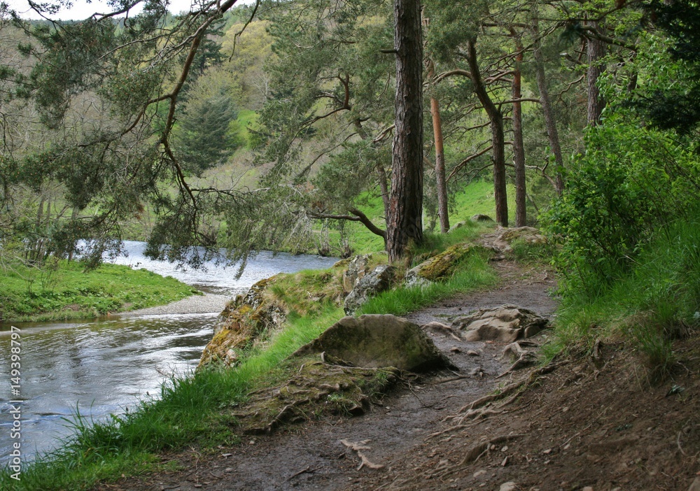 River tweed walk