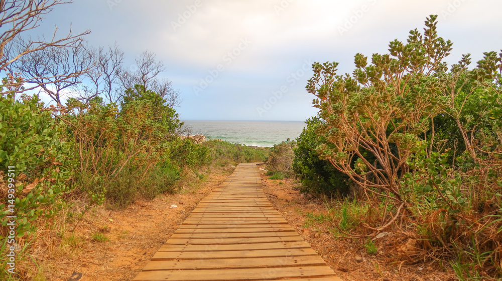 Boardwalk Walkway to the Beach in South Africa Boardwalk Walkway to the Beach in South Africa