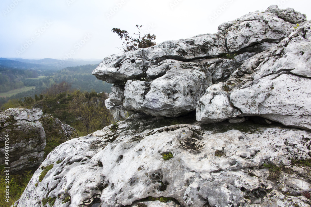 Limestone cliffs in Cracow Częstochowa highlands in polesice