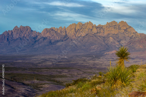 Organ Mountains in Spring