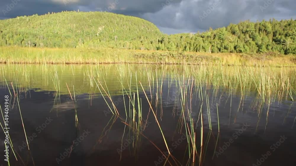 Le soleil dans la montagne, vue d'un herbe dans le lac