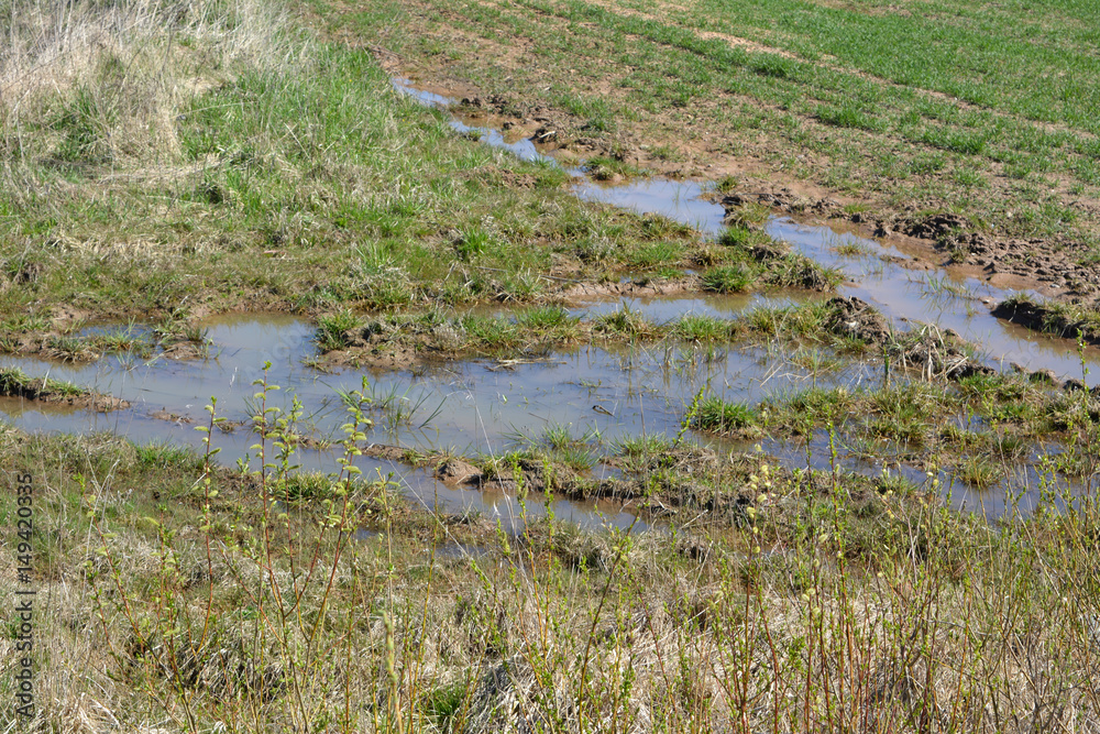 Spring landscape: puddles on the field, nature Spring landscape: puddles on the field, nature