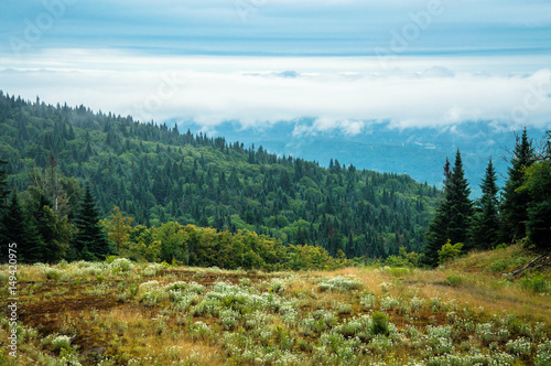 Wallpaper Mural Hiking on a foggy day in Mont Tremblant National Park - Stock image Torontodigital.ca
