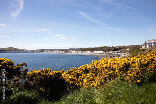 Douglas Bay and Gorse Flowers Isle of Man British Isles