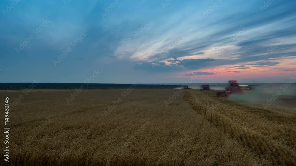 Tilt down time lapse of wheat field processing by harvesters at sunset with flowing clouds. Tilt down time lapse of wheat field processing by harvesters at sunset with flowing clouds.