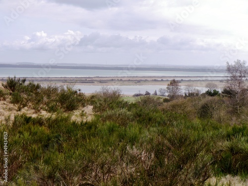 Landschaft auf Hiddensee