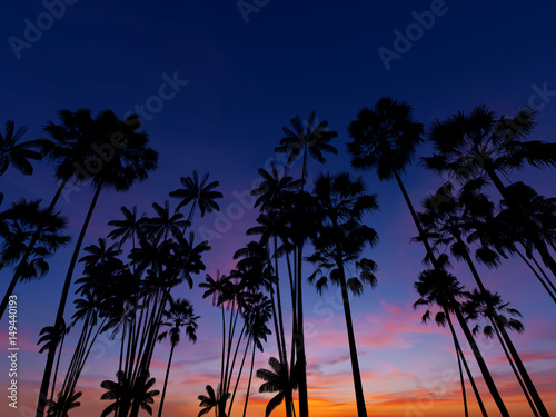 Silhouettes of palm trees against the sky. Tropical sunset background