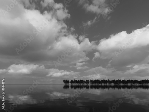 River and forest trees. Beautiful reflections. Black and white landscape.