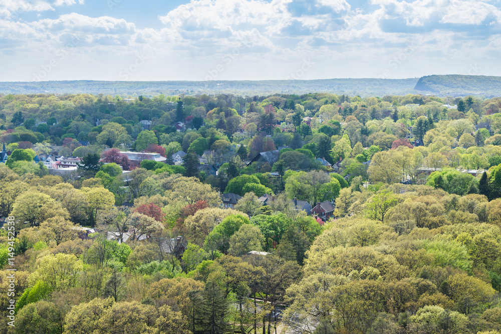 Aerial Skyline of New Haven Connecticut from East Rock in Summer