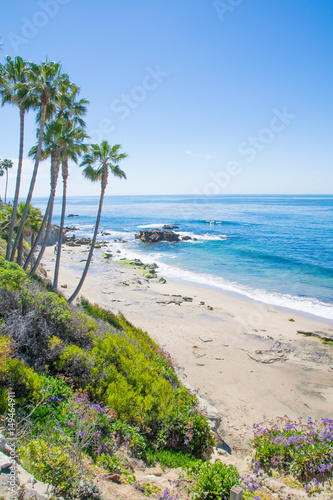 Laguna Beach Coastline in Orange County  California 