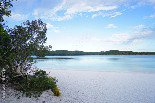 Fraser Island 2016 - close up photo at Lake Birrabeen, Queensland Australia