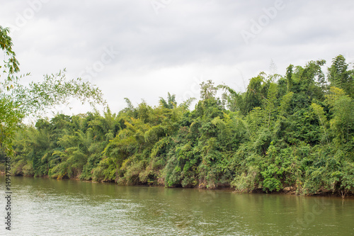 Landscape of rain forest s river.
