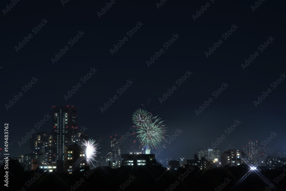 天神祭奉納花火 天神祭奉納花火